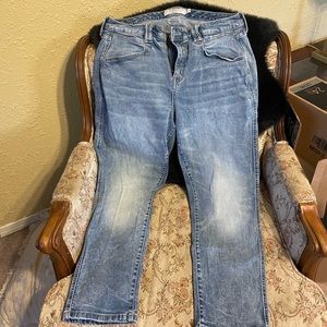 Torrid Jeans